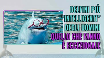 Delfini più intelligenti degli uomini