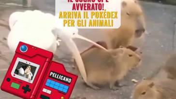 arriva il pokédex per gli animali player.it