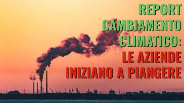 report cambiamento climatico aziende piangono