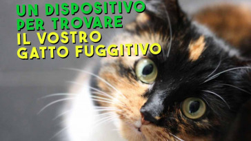 così troverete sempre il vostro gatto fuggitivo