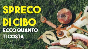 Il costo dello spreco del cibo