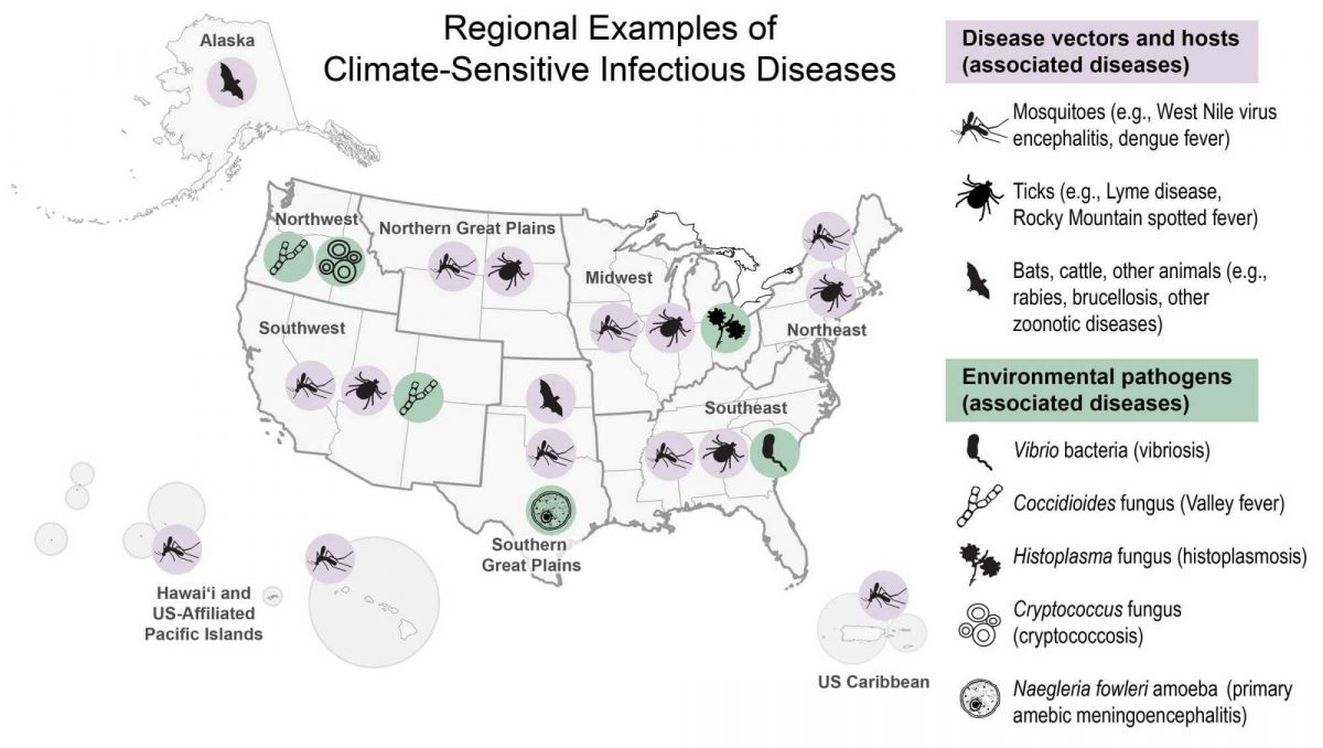 La mappa dei principali insetti portatori di agenti patogeni. Le zone climaticamente insalubri ne favoriscono la diffusione.