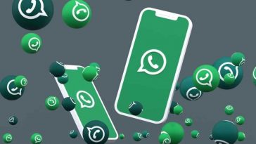 Whatsapp, c'è la versione Android 2.24.5.11