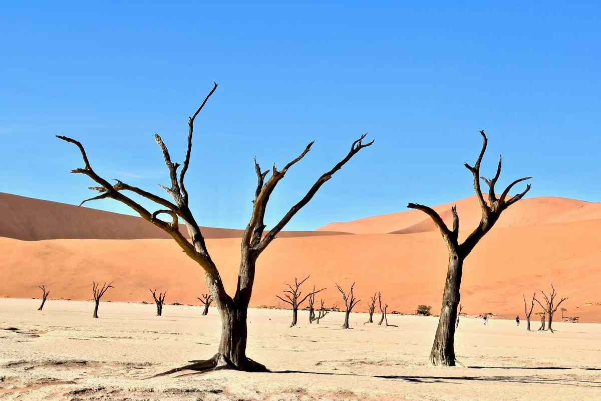 Videogioco nel deserto