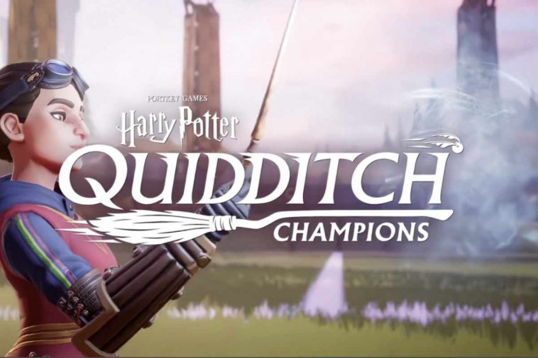 Harry Potter: campioni di Quidditch