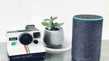 Basta acquisti errati con Alexa