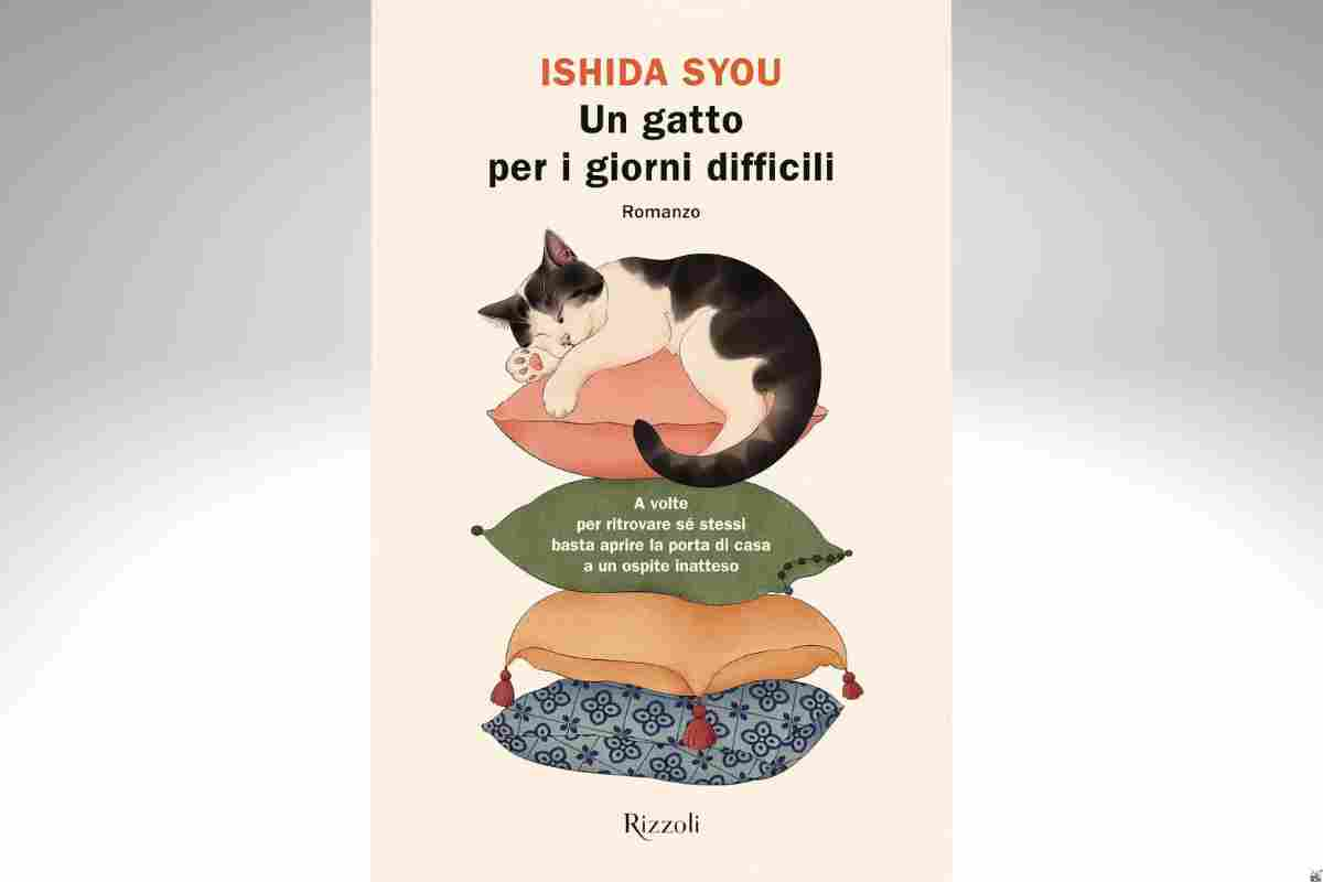 Un gatto per i giorni difficili