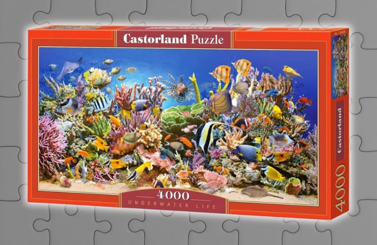 puzzle mare