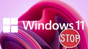 Stop all'uso gratuito del programma di Windows 11